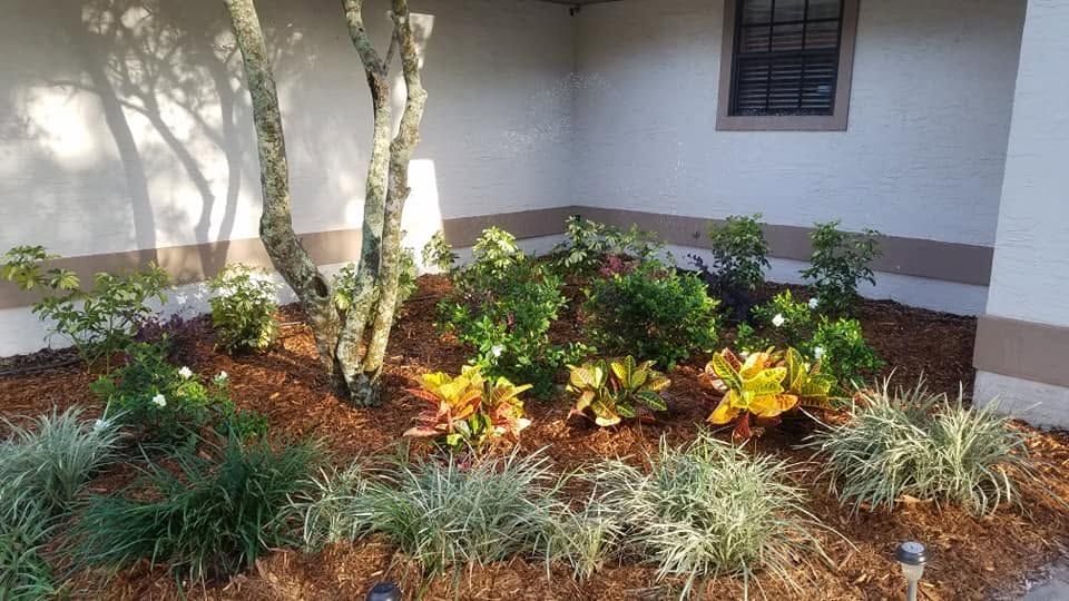 Landscaping for Nate the Garden Guru in Orlando, FL