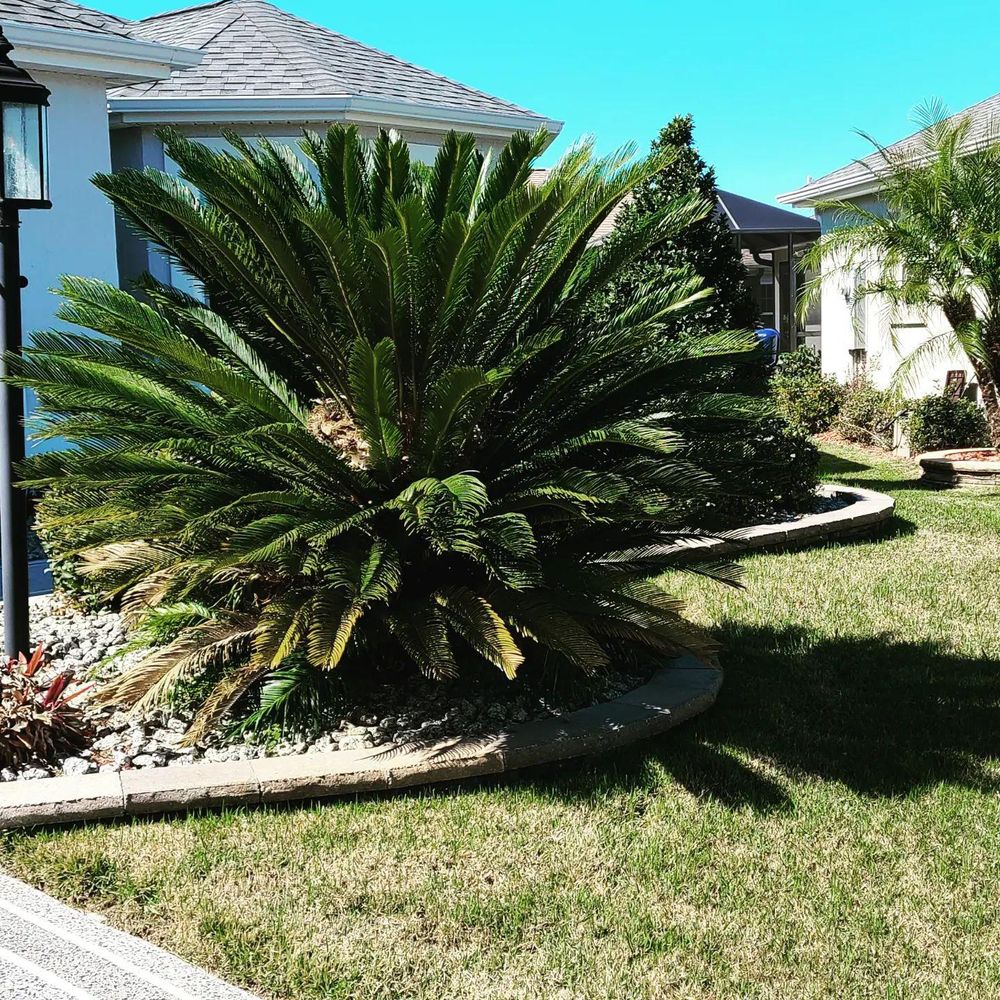 All Photos for TopNotch Landscaping Services  in The Villages, FL