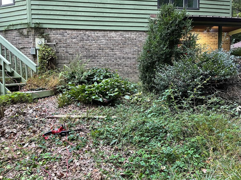 Enhance your home's curb appeal with our expert shrub trimming service, designed to shape and maintain the health of your shrubs, ensuring a neat and welcoming landscape all year round. for Richards Lawn and More in Richmond,  KY