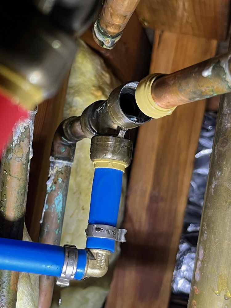 All Photos for Pyramid Abatement in Juneau, AK