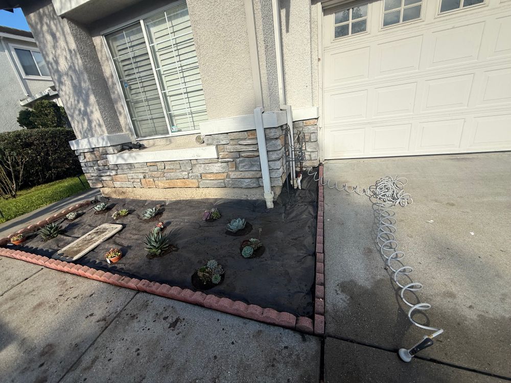 All Photos for CBA Landscaping in Hayward, CA