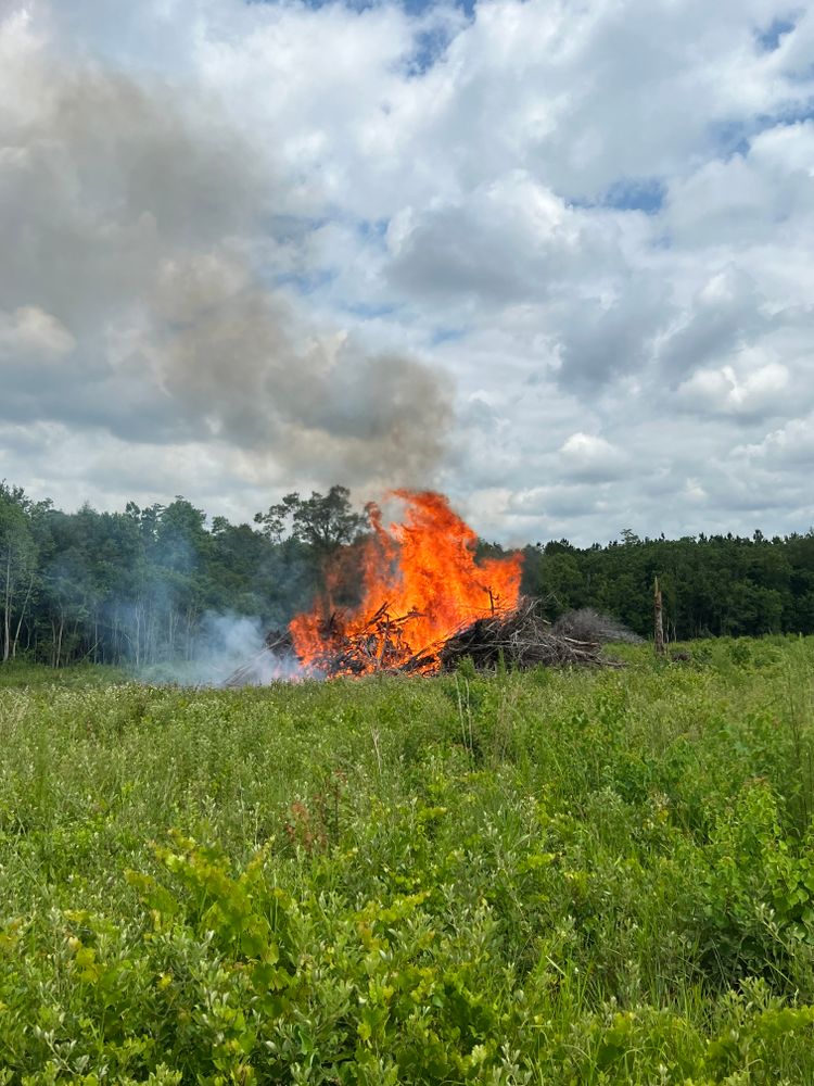 Land Clearing And Clean Up for Southeast Aquatic Land Services LLC  in Waycross, GA