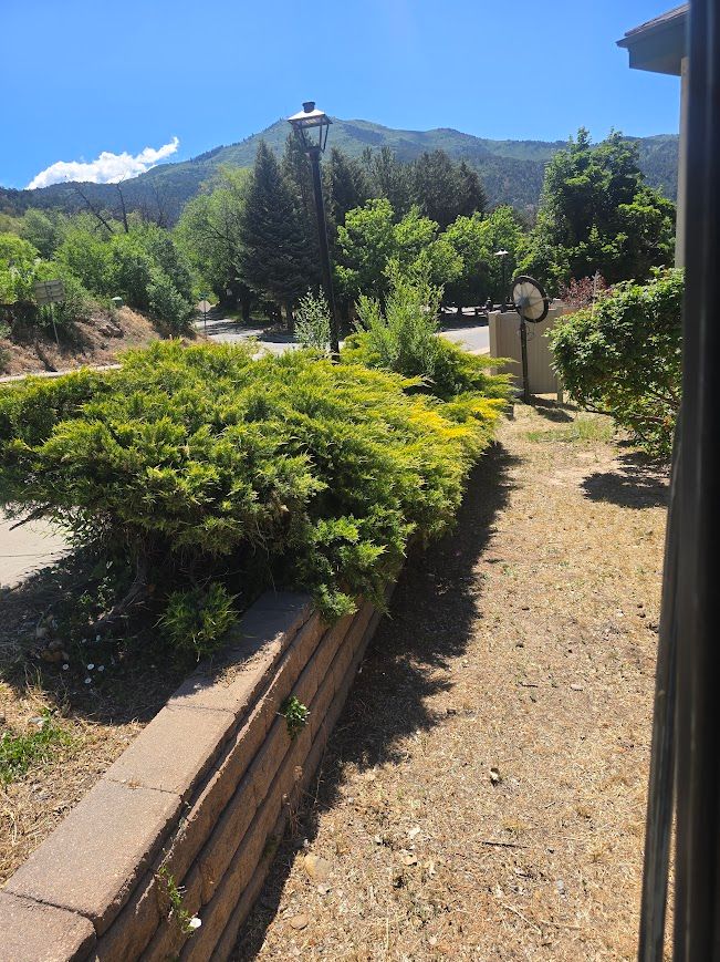 All Photos for LRS: Landscape, Rescue, Snow in Silt, CO