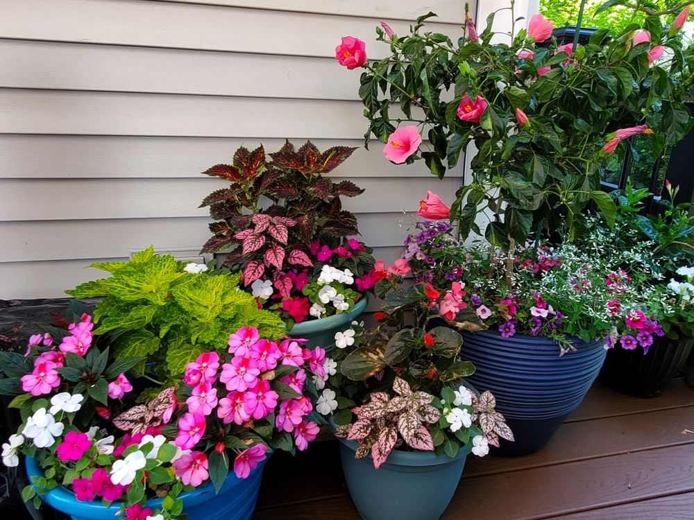 All Photos for Evolution Earthscapes, LLC in Ludlow, MA