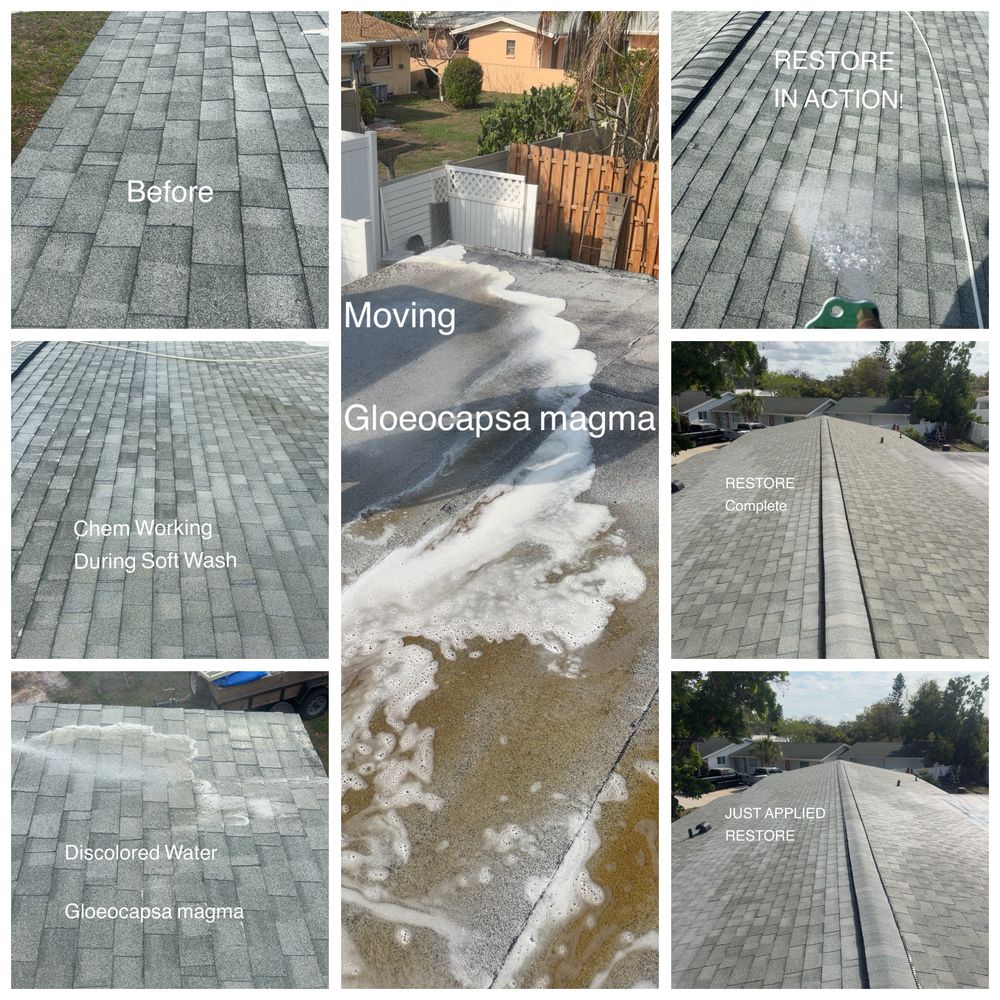 All Photos for My Soft Wash Guys in Venice, FL