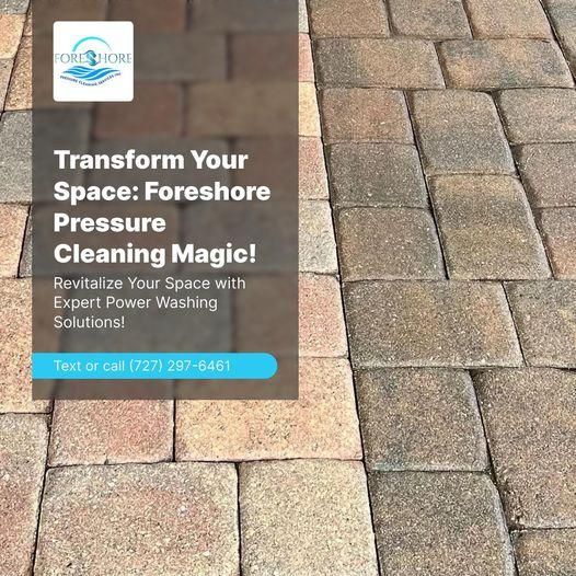 All Photos for Foreshore Pressure Cleaning Services Inc in Holiday, FL
