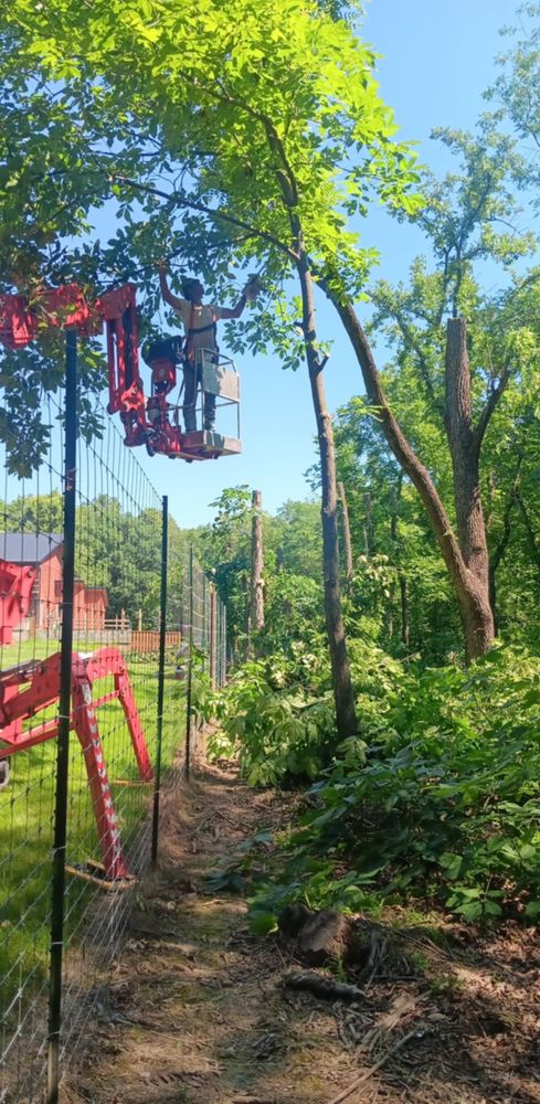 All Photos for Lawn Ranger Yard And Tree Service LLC in Ottumwa, IA