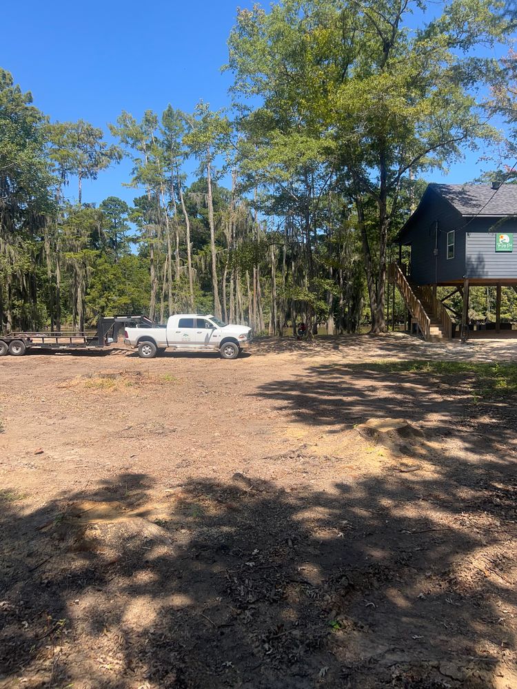 All Photos for Best Price Tree Service in Hallsville, TX