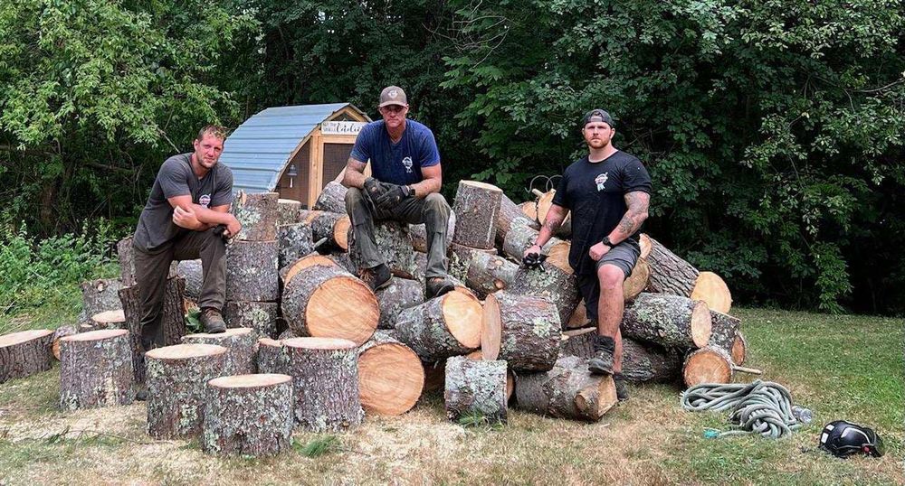 Our professional Tree Removal service ensures safe and efficient removal of unwanted, damaged, or hazardous trees from your property, enhancing safety and aesthetics while minimizing impact on your surrounding landscape. for Blue Ribbon Tree Service in Gilford, NH