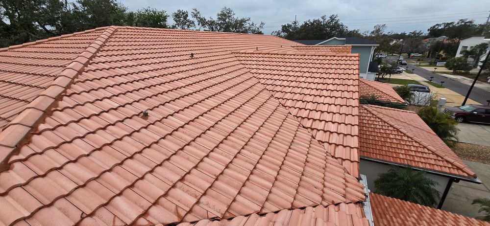All Photos for Blue Stream Roof Cleaning & Pressure Washing in Tampa, FL
