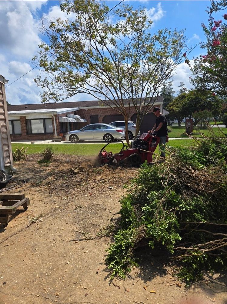 Anchor & Grind Stump team in Chesapeake, VA - people or person