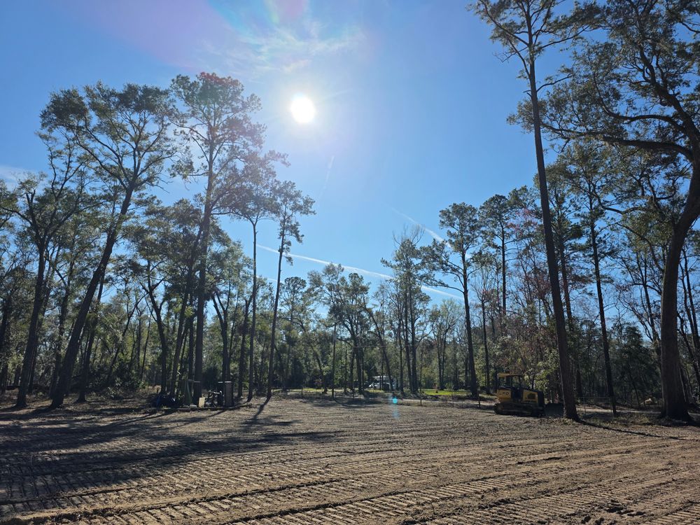 Land Clearing for Blanchards Land Clearing and Site Prep, LLC in Bell, FL
