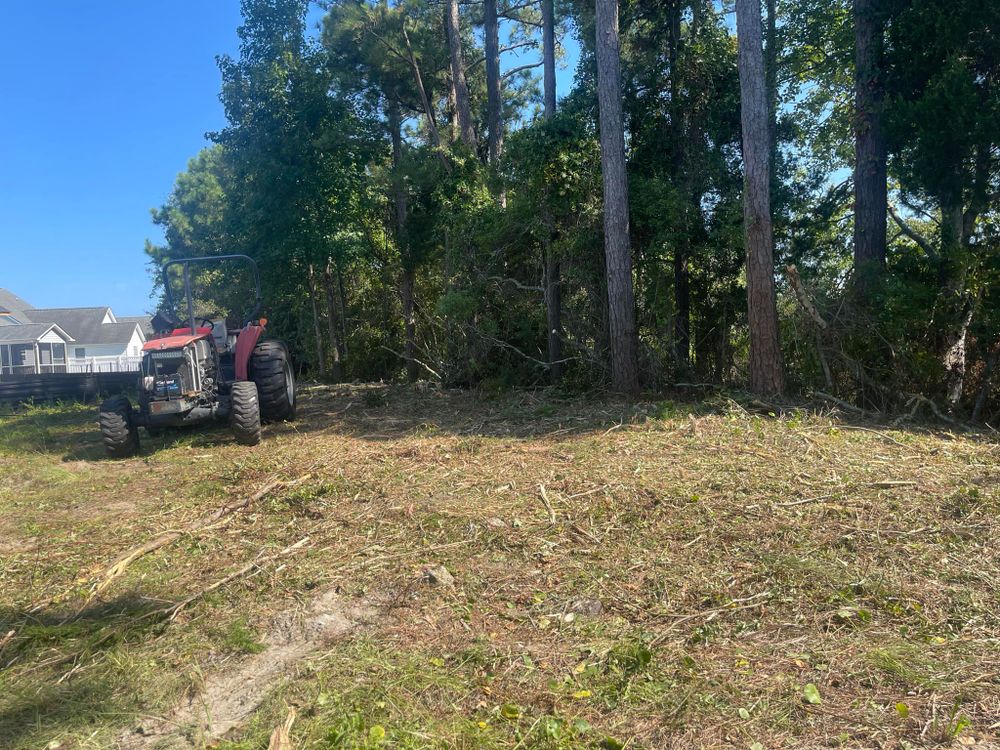 Tree Removal for Leland Firewood in Leland, NC