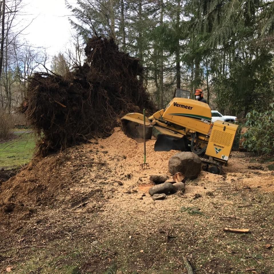 Our Stump Removal service efficiently eliminates tree stumps from your property, enhancing safety and aesthetics while preventing unwanted regrowth. Trust our experts to restore your landscape's beauty with precision and care. for Wilderness Stump Grinding in Orting, WA