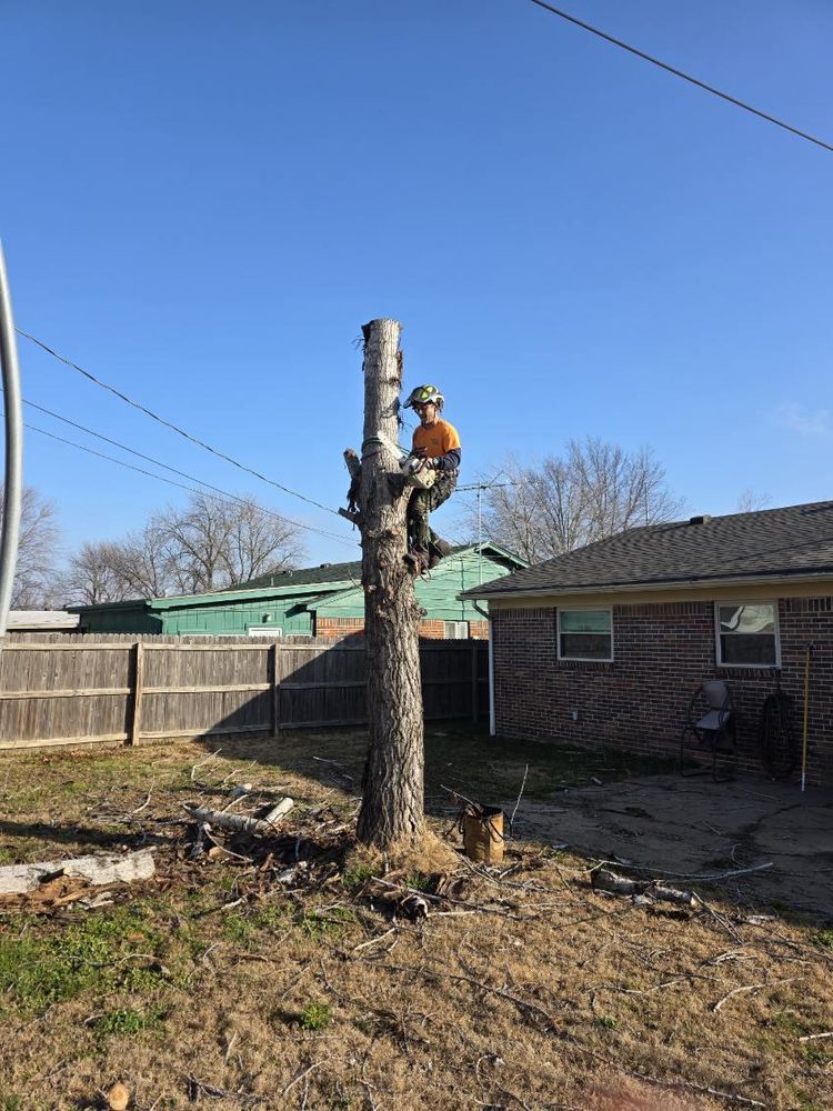 All Photos for Oklahoma Tree Guy in Bartlesville, OK
