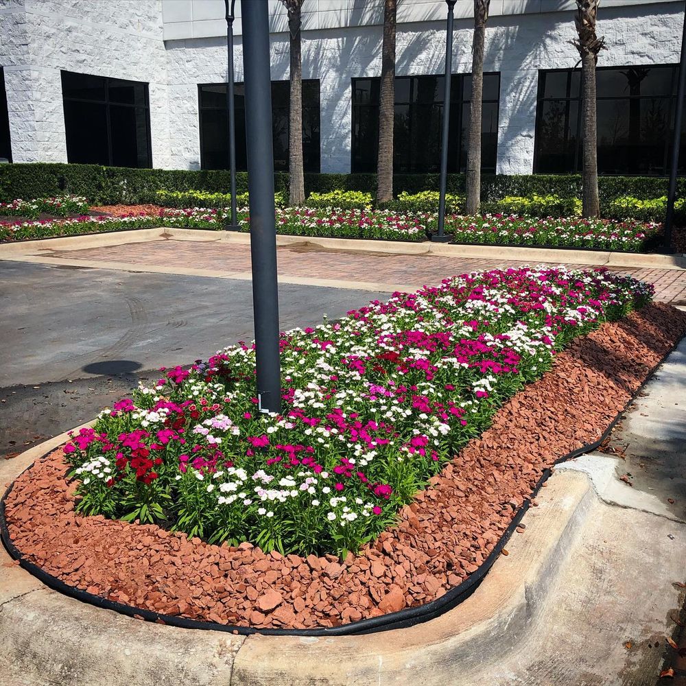 All Photos for TLM Landscape Professionals in Clermont, FL