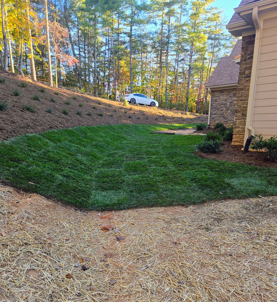 Sod installation  for C4 TrueVision Renovations in Asheville, NC