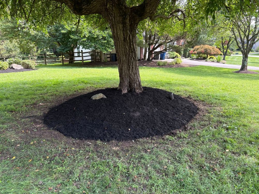 All Photos for Walsh Lawn And Landscape in Olney, MD