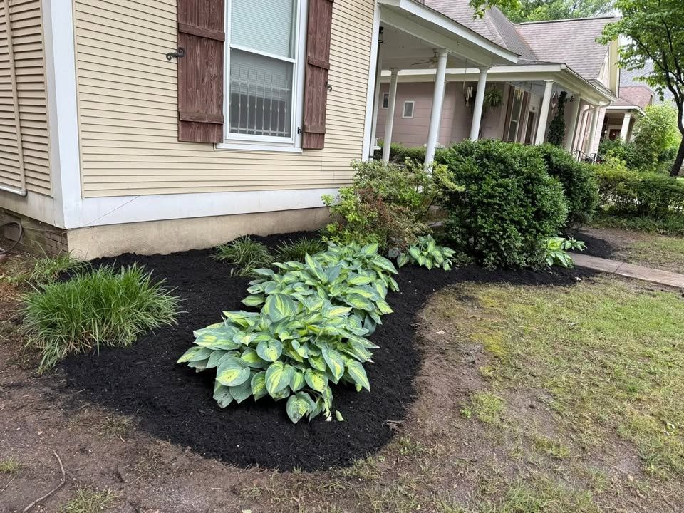 All Photos for Sanchez Z. Landscaping in Memphis, TN
