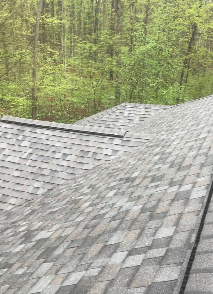 Roofing for Drywall Roofing Flooring  in Langlade County, Wisconsin