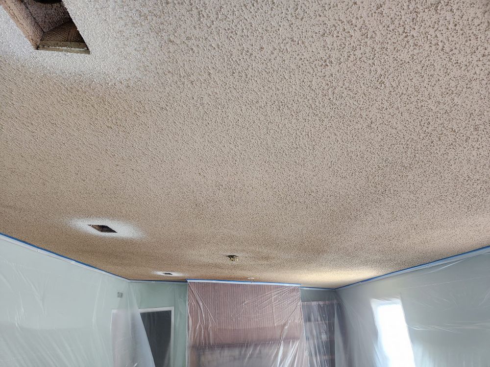 Interior Painting for 2 Bucks Painting in Mansfield, TX