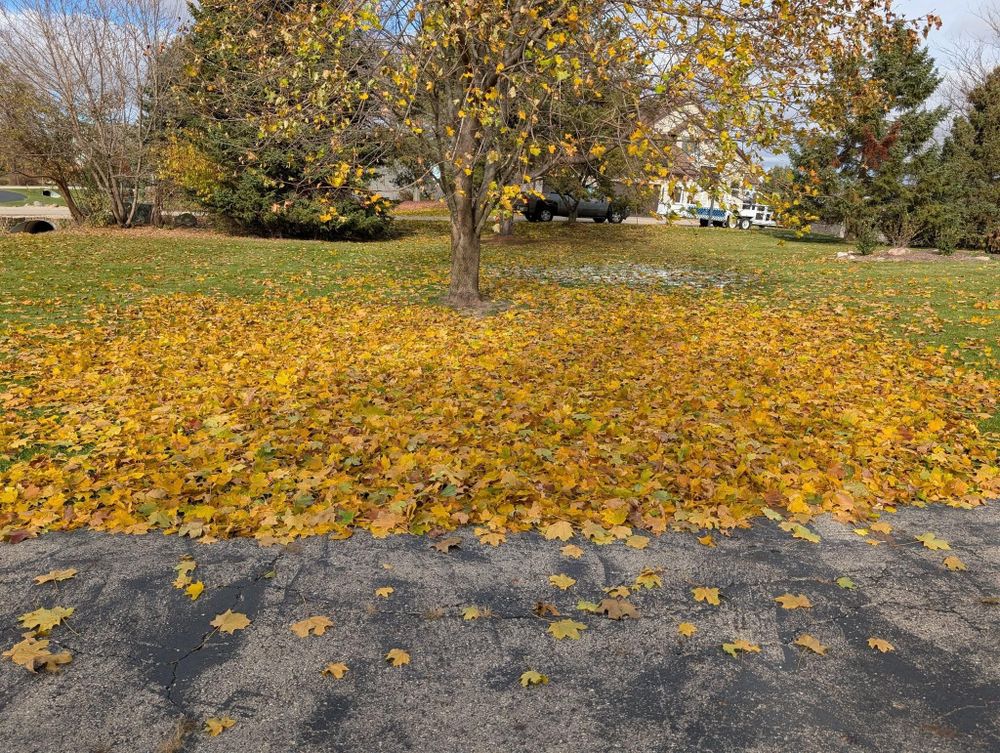 All Photos for TCB Lawn Care & Snow Removal in Sun Prairie, WI