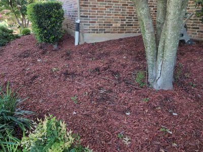 All Photos for Toppers Wildlife Removal in Garland, TX