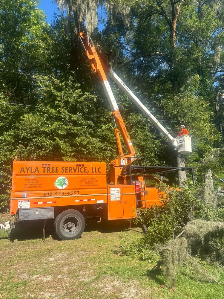 All Photos for Ayla Tree Service in Guyton, GA