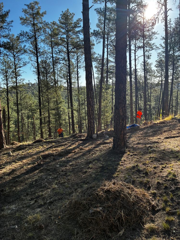 All Photos for G&B Yard Service in Ruidoso Downs, NM