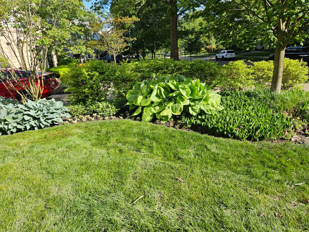 Landscaping for Double D Landscape Services in Columbus ,  OH