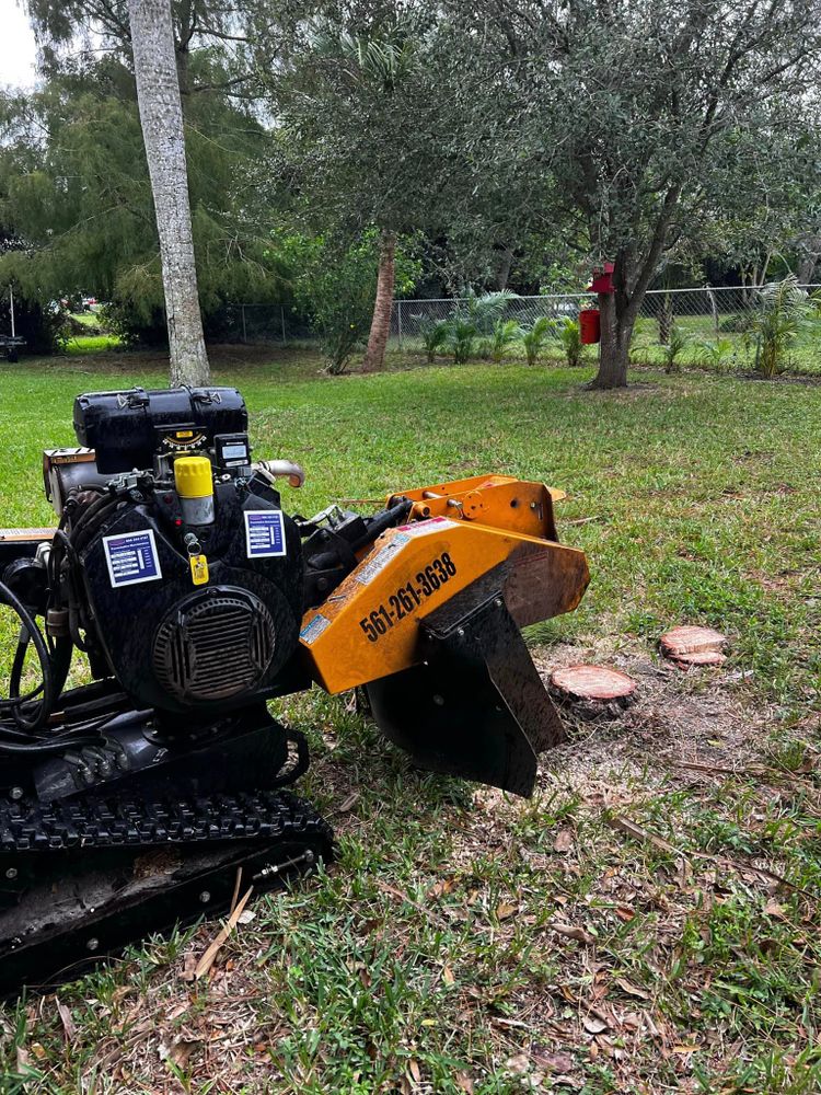 Our stump grinding service efficiently removes unsightly tree stumps from your property, providing a clean and level surface for landscaping projects or grass seeding after completing "stump removal". for Outdoor Solutions Of The Glades in Hendry County, FL