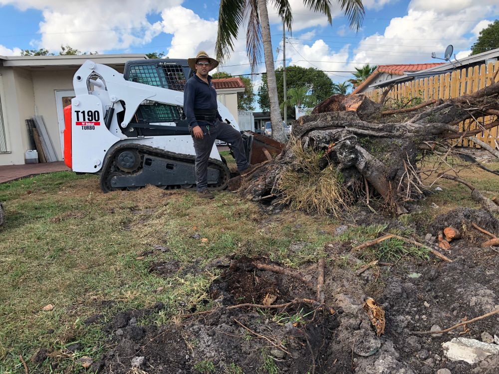 Disaster for Sam's Tree Service in Miami Beach,  FL