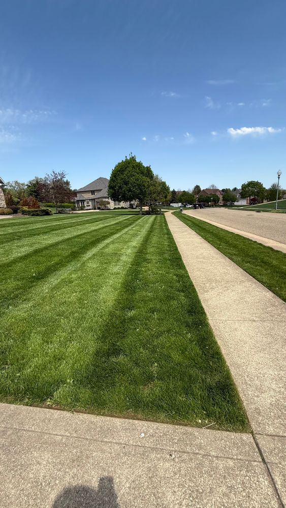 All Photos for Green Stripes LLC in North Canton, OH