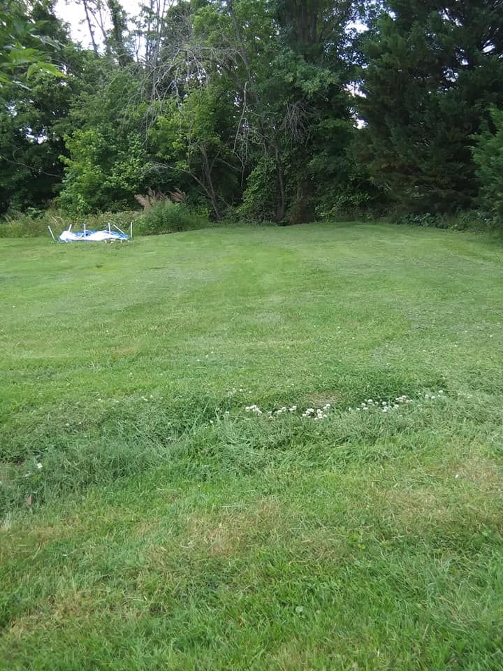 All Photos for Top Notch Lawn Care and Tree Removal in Mebane, NC