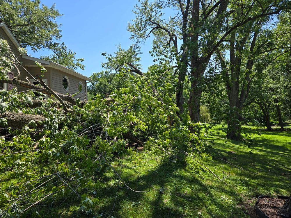 All Photos for Lawn Ranger Yard And Tree Service LLC in Ottumwa, IA