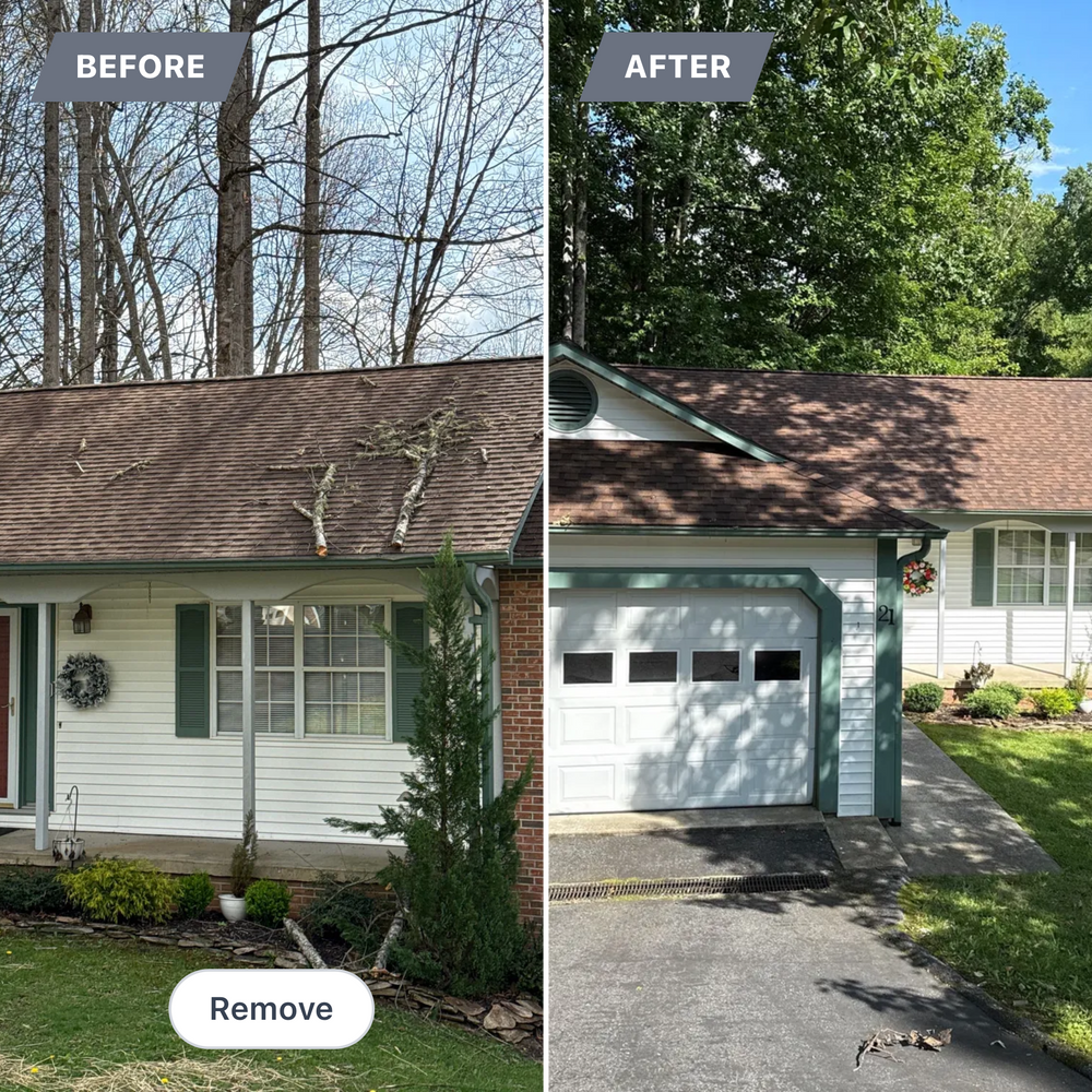 All Photos for RJ Roofing of WNC in Brevard, NC