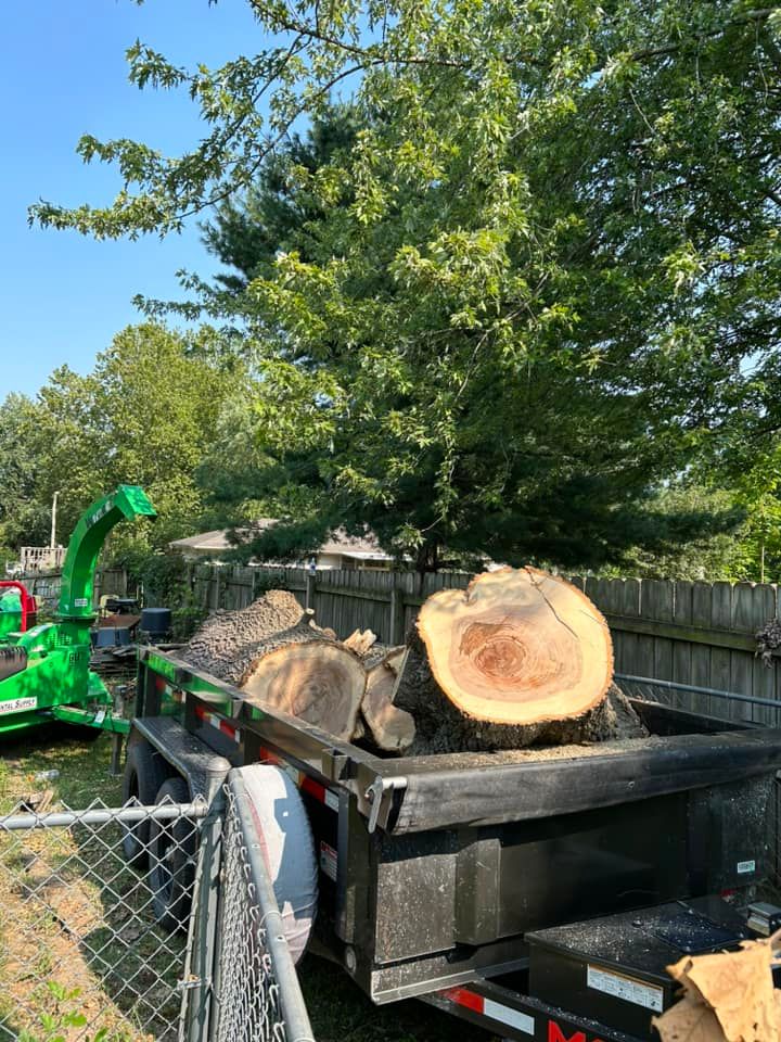 Tree Removal for Logan Tree Care LLC in Springfield, MO