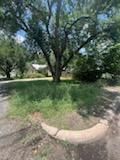 All Photos for Oviedo Land & Garden in Bastrop, TX
