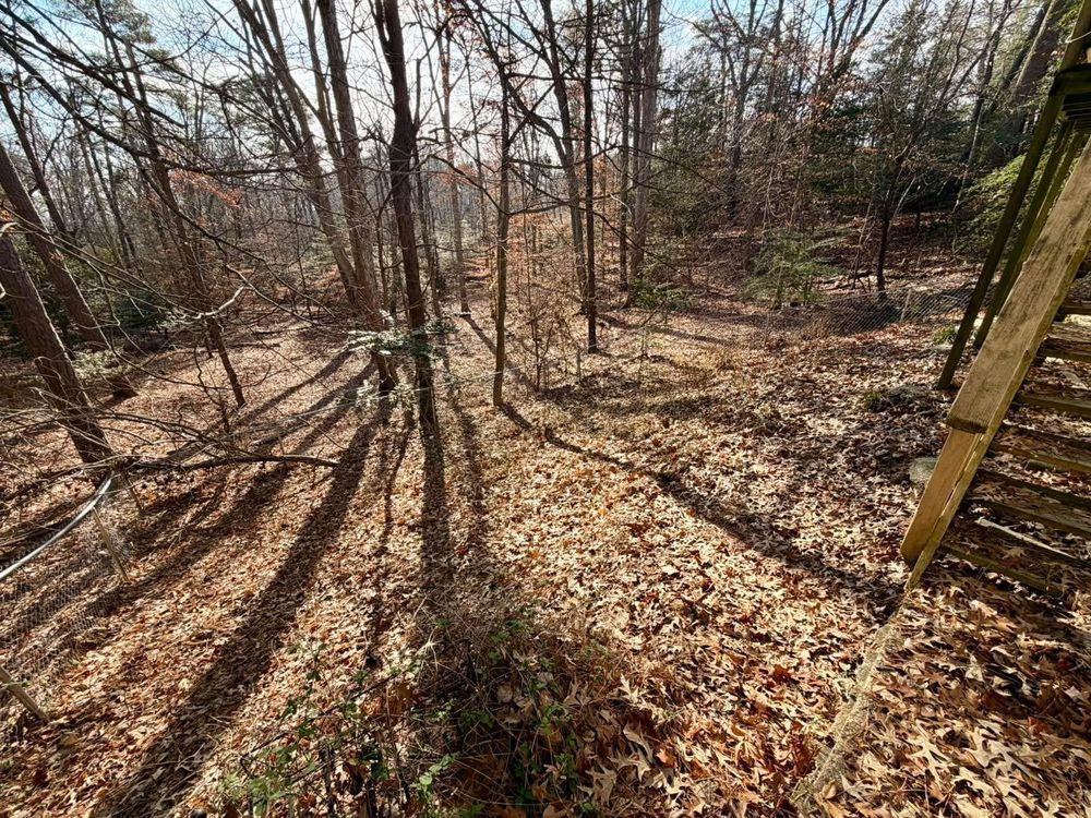 All Photos for Nate's Property Maintenance LLC  in Lusby, MD