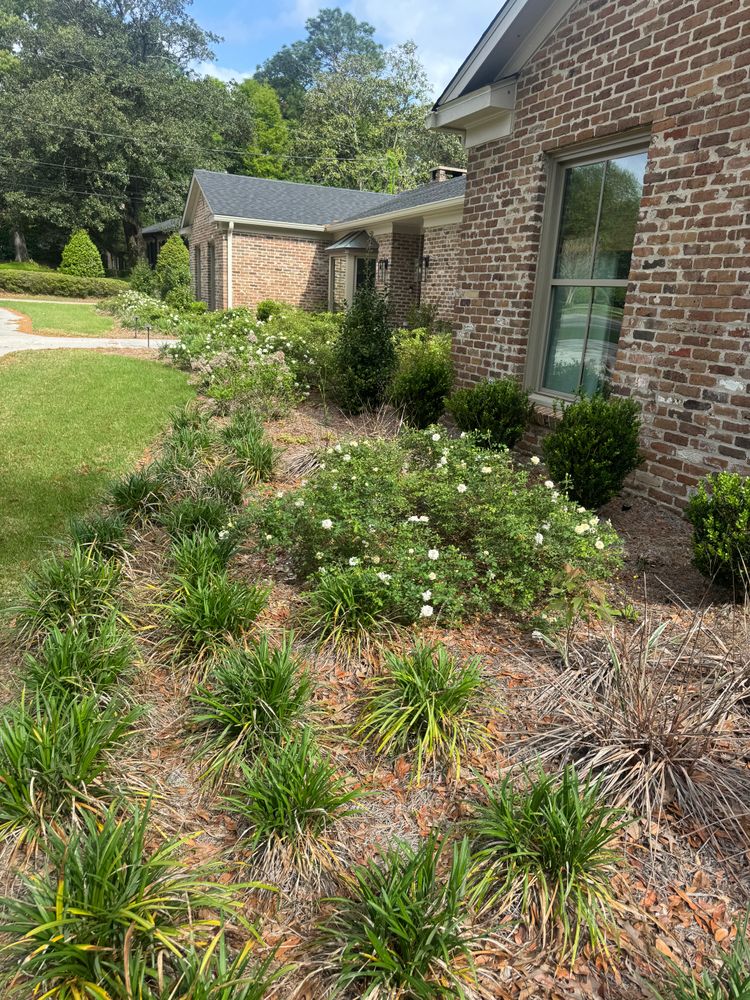 All Photos for Johnson Lawn Care and Maintenance in Mobile, AL