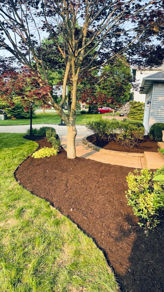 All Photos for Green Stripes LLC in North Canton, OH