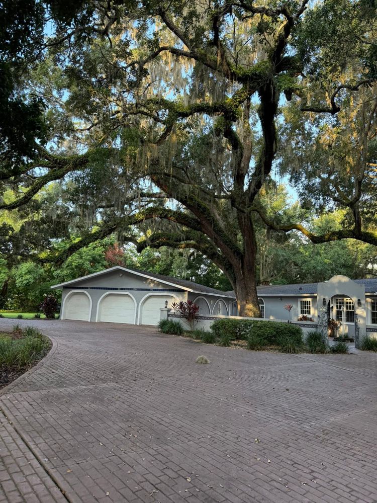 All Photos for Daniel Hickey’s Tree Service in DeLand, FL