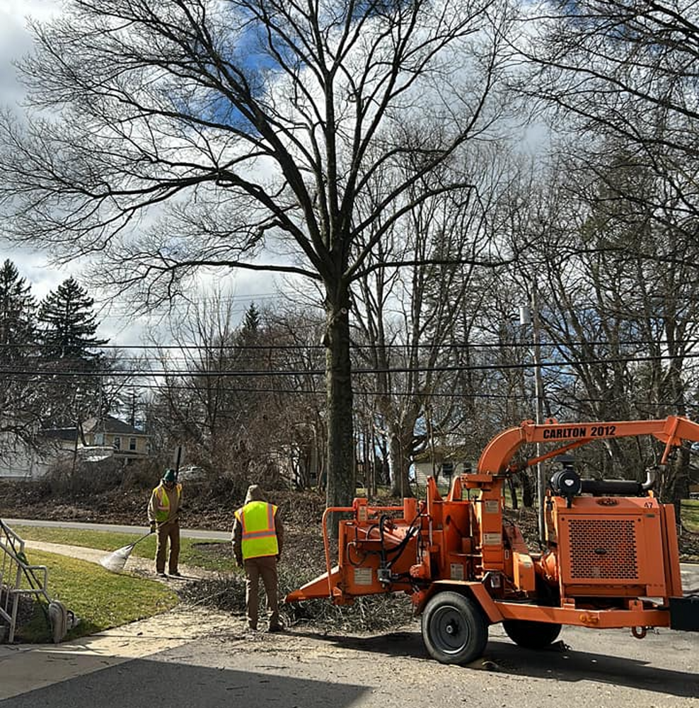 JJ Tree Service team in Gibsonia, PA - people or person