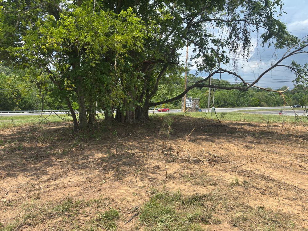 All Photos for Great American Landworks  in Morrison, TN