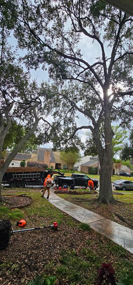 All Photos for Servin's Tree Care  in Houston, TX