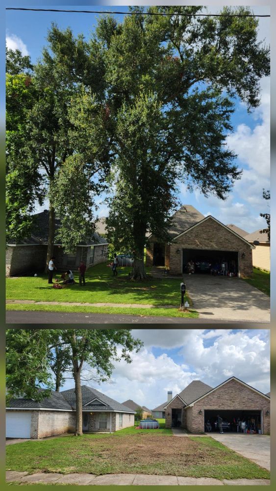 All Photos for Ken's Elite Cutters LLC  in Breaux Bridge, LA