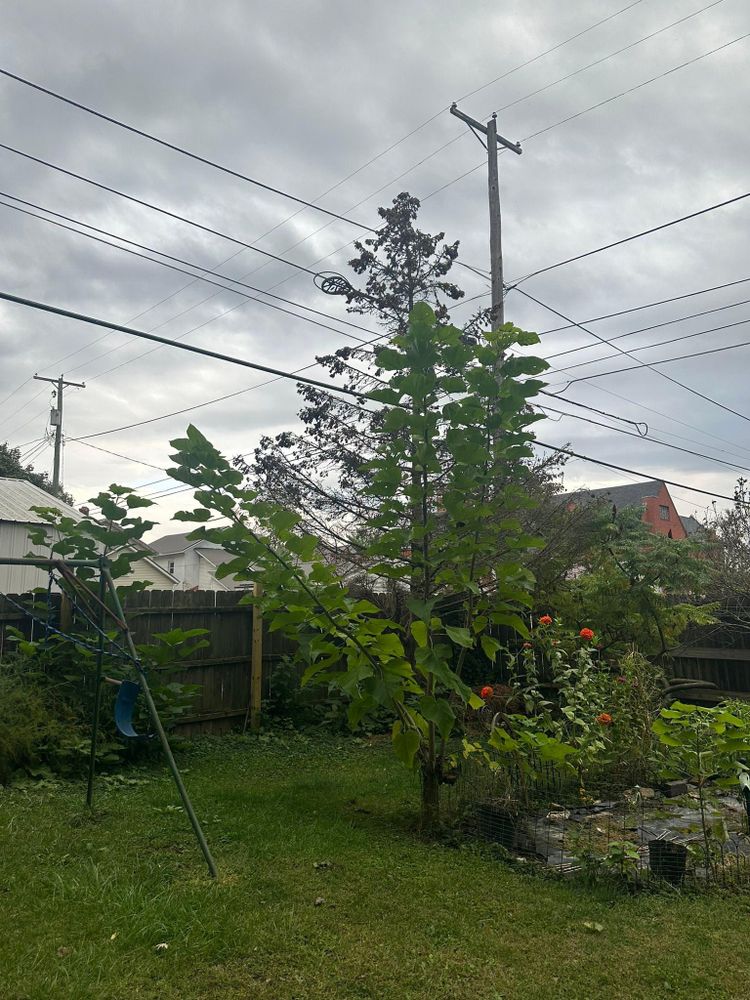 All Photos for OT Lawn and Landscaping LLC in Carey, OH