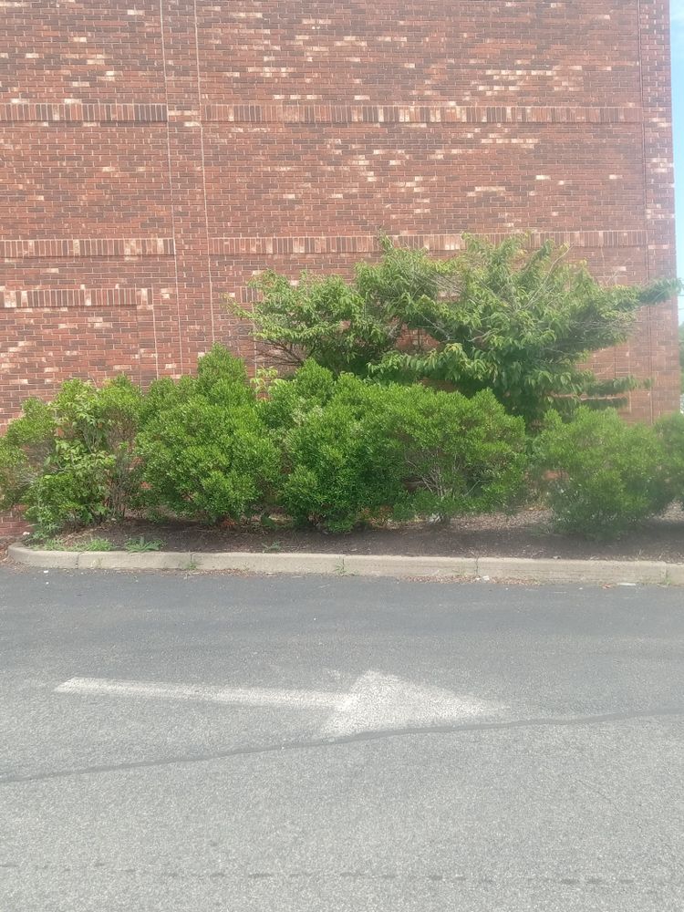 All Photos for K Brown's Property Maintenance in Pittsfield, MA