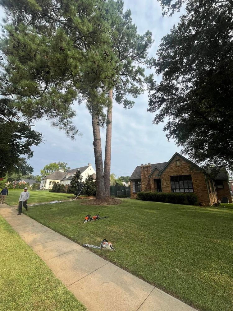 All Photos for JC Land and Tree Service in Kilgore, TX
