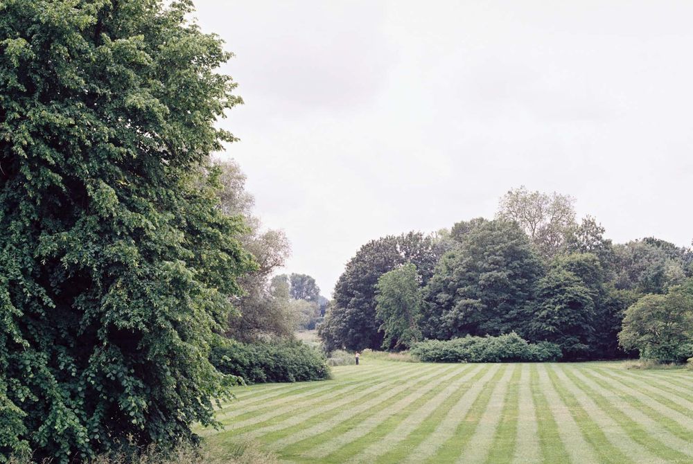 Lawn Care for Dm Lawncare service in Brentwood, TN